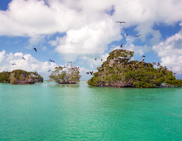 Sian Ka´an-Punta Allen Deluxe