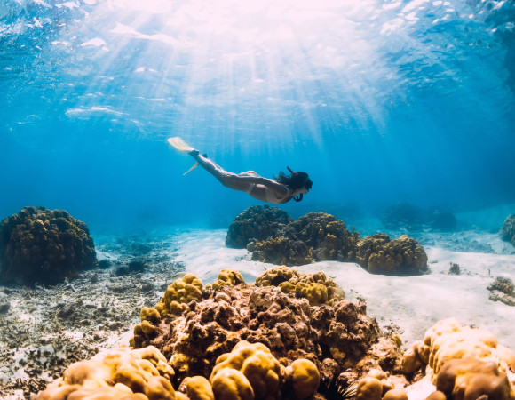 Snorkeling en el Segundo Arrecife más Grande del Mundo