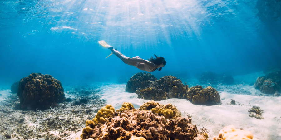 Snorkeling en el Segundo Arrecife más Grande del Mundo