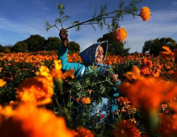 Festival del Día de Muertos Riviera Maya