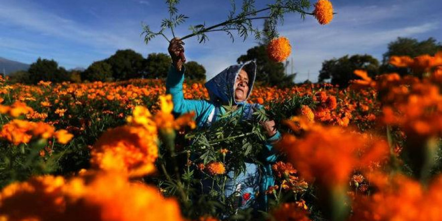 Festival del Día de Muertos Riviera Maya